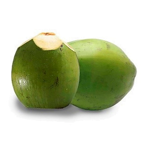Coco Da Compre mudas de coco da Bahia de alta qualidade na Plantae Shop ...